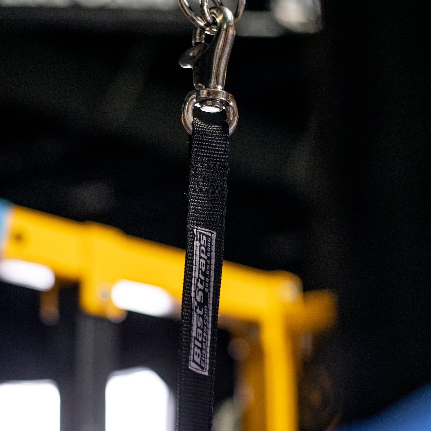 elitefts Blast Straps - Image 5