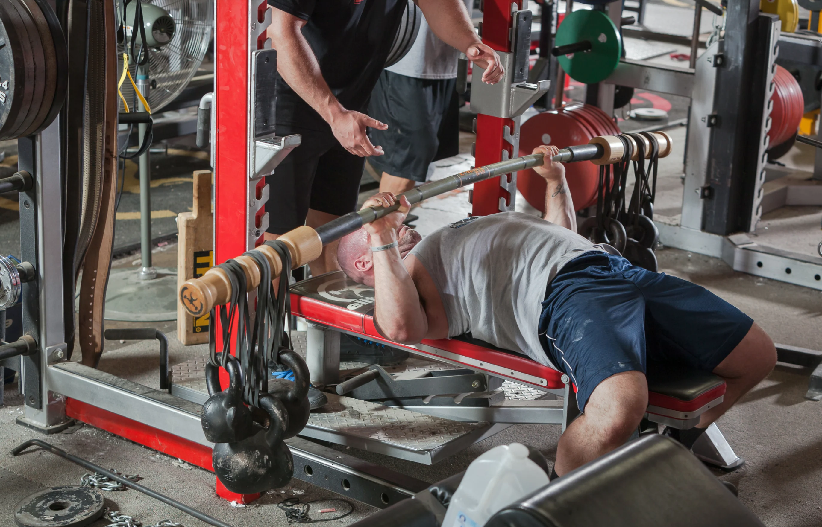 elitefts SINGLE Band Pack - Image 7